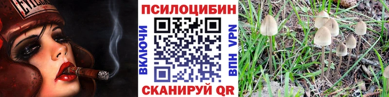 Псилоцибиновые грибы MAGIC MUSHROOMS  где купить наркотик  Староминская 